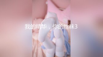 我的精华，你的丝袜3