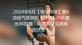 嫂子的职业MySisterinlawsJob2017HD1080P韩语中字