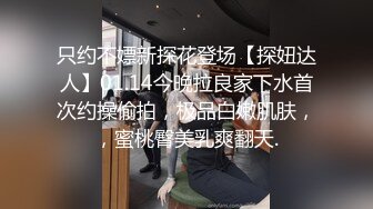 盲盒甜心女仆 情趣娃娃坠入爱河