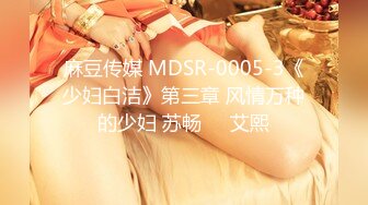 麻豆传媒 MDSR-0005-3《少妇白洁》第三章 风情万种的少妇 苏畅❤️艾熙