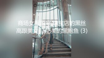 商场女厕全景偷拍几个不错的少妇尿尿全是大美鲍 (3)