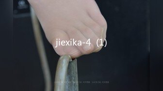 jiexika-4  (1)