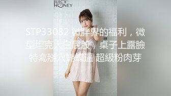 2024年3月推特泡良大神【榜一大哥 】约操各种高颜值美女3P车震VIP福利，房产销售、女邻居人妻杀手推荐2 (10)