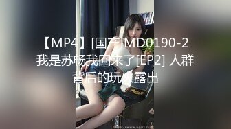 【MP4】[国产]MD0190-2 我是苏畅我回来了[EP2] 人群背后的玩火露出